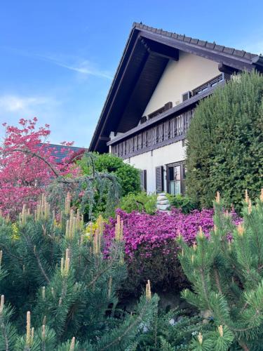 a garden in front of a building with flowers at Pleasant Apartments in Bled
