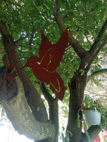 a tree with a red flower on it at Refúgio Da Pinheira in Marco de Canaveses