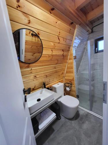 a bathroom with a white toilet and a sink at Hill House Doftana in Seciuri