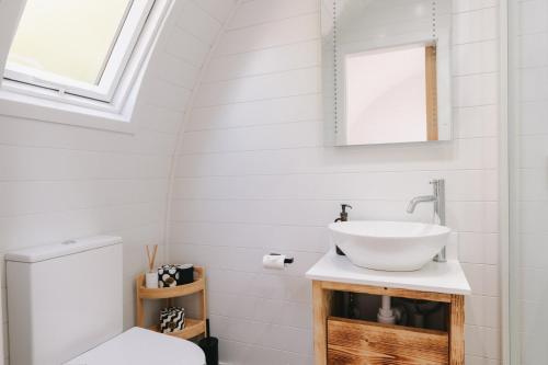ein Badezimmer mit Waschbecken und Toilette in der Unterkunft Liba Vineyard in Porton