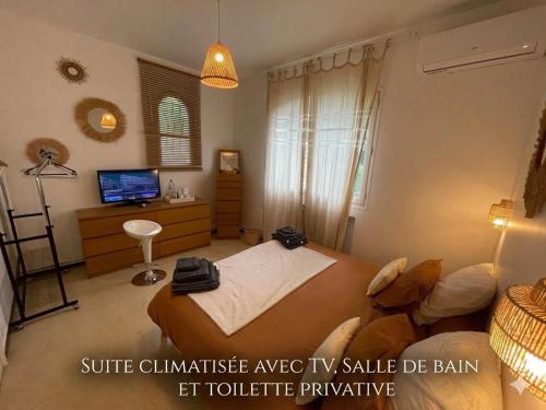 Villa 3ch 6pers climatisée avec jacuzzi jardin 3 terrasses Montpellier centre ville 12 mn des plages