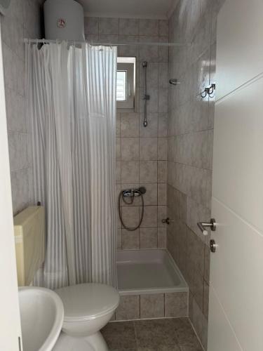 a bathroom with a shower and a toilet and a sink at Hugo in Promajna