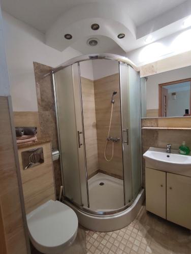 a bathroom with a shower and a toilet and a sink at Noclegi Pod Lipami in Zwierzyniec