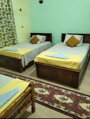 two beds sitting in a room with a rug at Roma House in Aswan