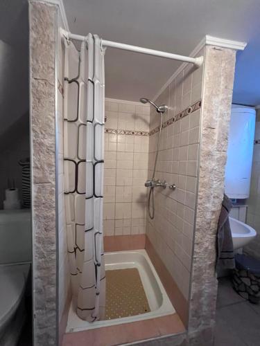 a bathroom with a shower with a bath tub at Keszeg house in Szigetbecse
