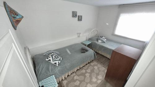 two twin beds in a room with a window at Assos Egedebirnefes Kır Evi in Ayvacık