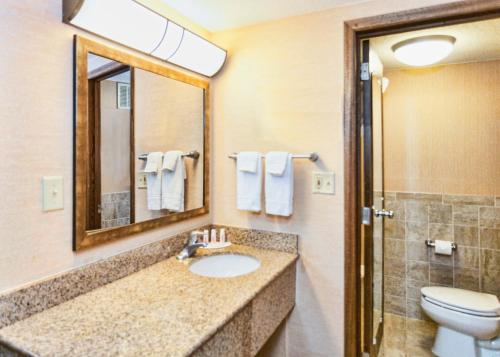 a bathroom with a sink and a toilet and a mirror at Days Inn by Wyndham Duluth Lakewalk in Duluth