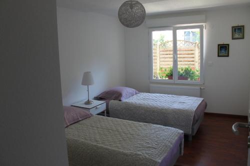 2 camas en una habitación con ventana en Le Clos Saint Morand en Balschwiller