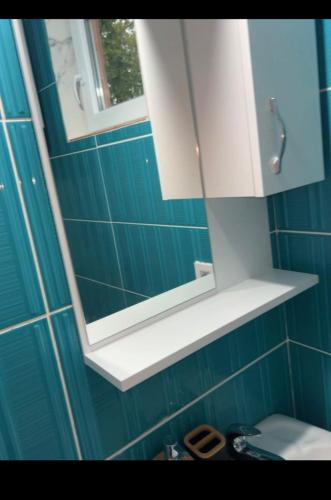 Kopalnica v nastanitvi ApartmanbyVojkan-Tara bridge