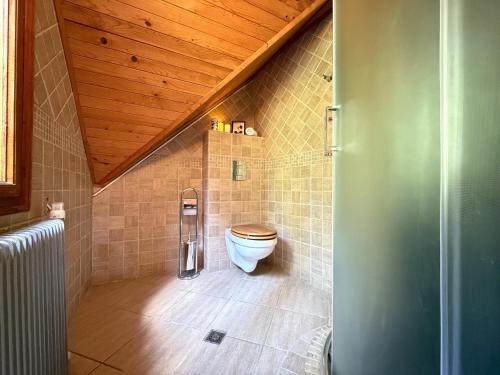 a bathroom with a toilet and a wooden ceiling at Red Lake Inn in Gheorgheni