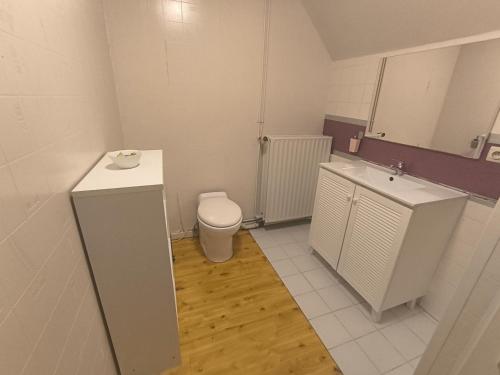 a small bathroom with a toilet and a sink at Smiley in Blankenberge