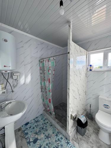 a bathroom with a sink and a toilet at Guesthouse Snow Leopard - 'Ak Ilbirs' in Tong