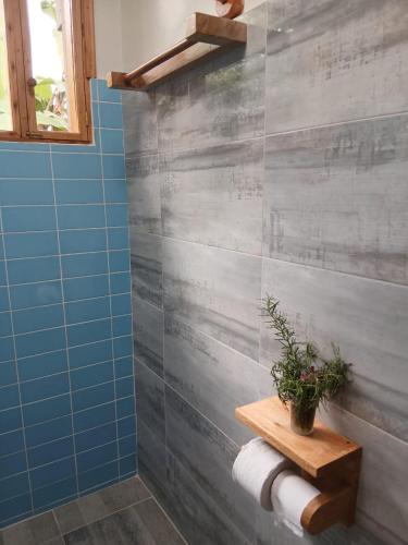 a bathroom with a blue and gray wall at Camphor Mountain View in Lushoto