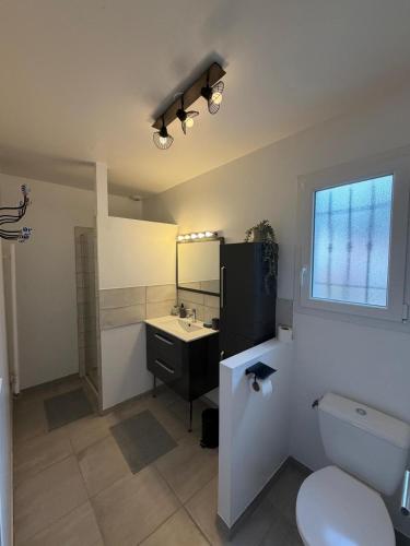 a bathroom with a sink and a toilet and a mirror at Maison Eguilles in Éguilles