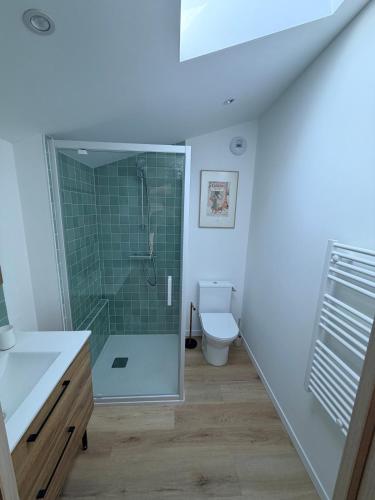a bathroom with a shower and a toilet at Grange 4 couchages in Mios