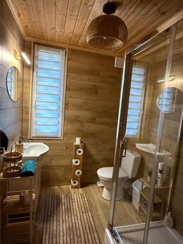 a bathroom with a toilet and a sink and a shower at Domek na Mazurach - nad jeziorem Dadaj in Wilimy