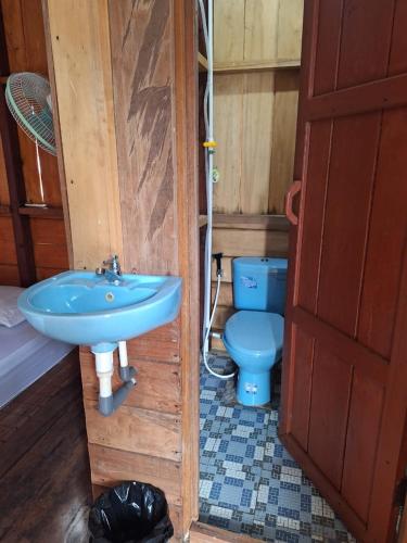 a bathroom with a blue sink and a toilet at Nuttonton Homes in Papas