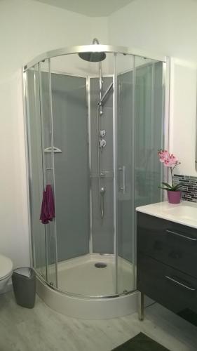 La salle de bains est pourvue d'une douche et d'une cabine de verre. dans l'établissement Clos Chantegrive, à Saint-Médard-en-Jalles