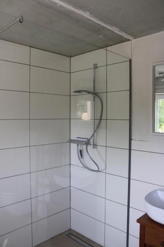 a glass shower in a bathroom with a sink at FreiLAND-Häusle in Weikersheim