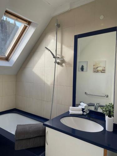 a bathroom with a sink and a shower at L'écrin de marbre, hyper centre, PARKING in Quimper