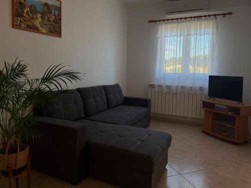 APARTMANI RUZARIJA