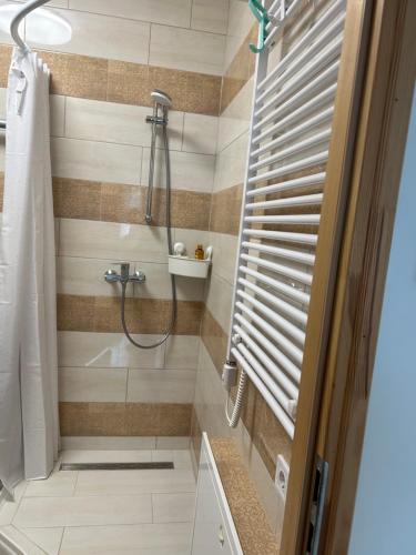 a bathroom with a shower with a shower curtain at Murvafürt Vendégház in Cserkeszőlő