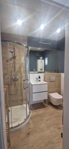 a bathroom with a shower and a sink and a toilet at Apartament MyMoment in Tupadła