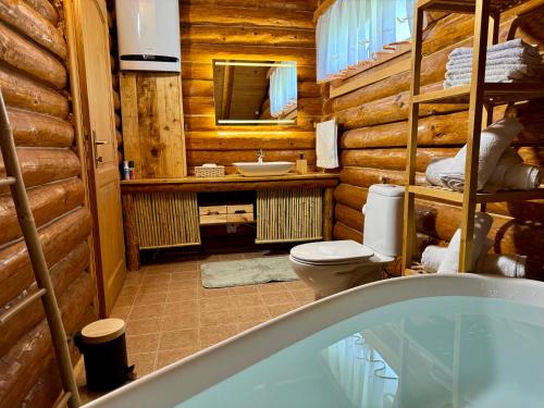 a bathroom with a toilet and a sink in a log cabin at Pine River Dobrenica in Bihać