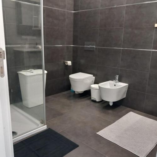 a bathroom with a shower and a toilet and a sink at Casa das Flores in Batalha