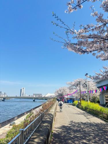 Newly Built Private Tokyo Villa Beauty House near Asakusa & Skytree