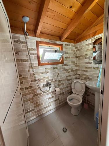 a bathroom with a shower and a toilet and a sink at Riverside Rooms Klos in Klos