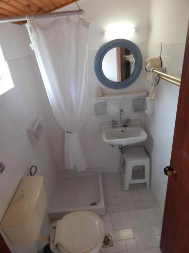 a small bathroom with a toilet and a sink at Dina Apartments Kokkari, Pension Dina, Dina Rooms in Kokkari