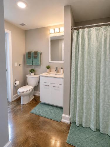 a bathroom with a toilet and a sink and a shower at The Haven Loft in Birmingham