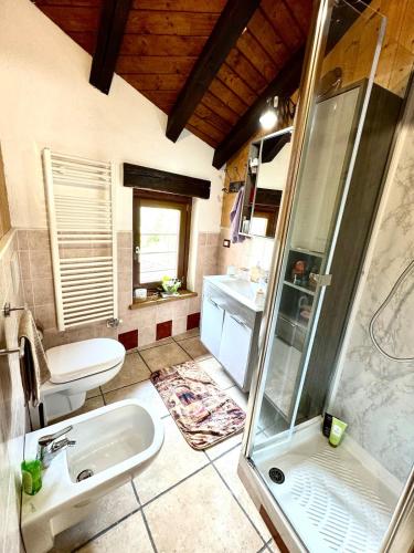 a bathroom with a shower and a sink and a toilet at Belle vue des Alpes in Blavy