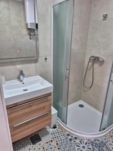 a bathroom with a shower and a sink and a toilet at Guesthouse Maro in Povljana