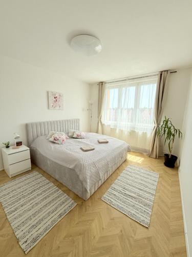 a white bedroom with a bed and two rugs at Home place in Louny