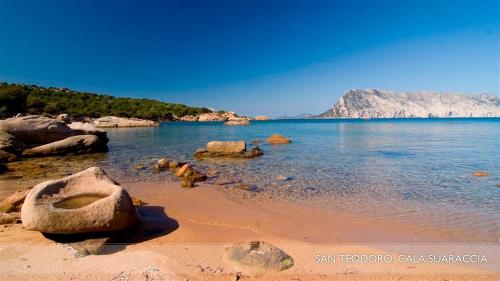 Φωτογραφία από το άλμπουμ του Li Teggi Turismo Rurale σε San Teodoro