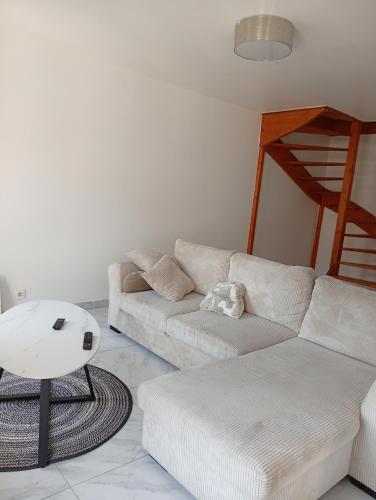 Duplex Rouen centre rive gauche