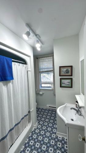 a bathroom with a shower and a sink at Falcon Retreats in Sharbot Lake