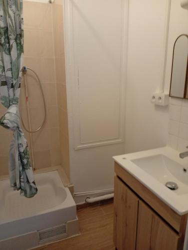 Duplex Rouen centre rive gauche
