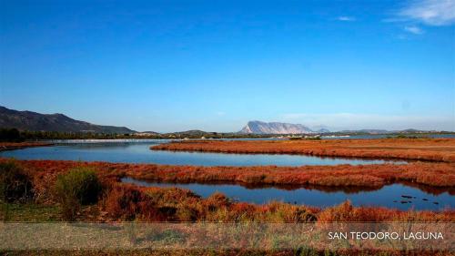 Φωτογραφία από το άλμπουμ του Li Teggi Turismo Rurale σε San Teodoro