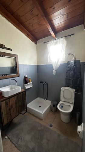 a bathroom with a white toilet and a sink at Panorea house in Polydrossos