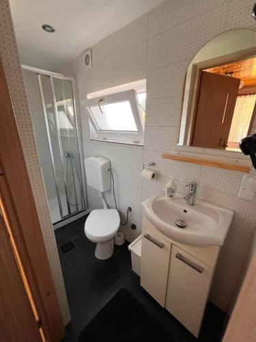 a small bathroom with a toilet and a sink at Pokoje Gościnne Ojcowska Kraina Pieskowa Skała Ojców in Pieskowa Skała