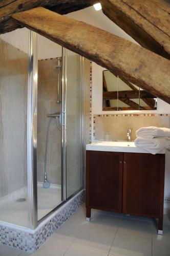 a bathroom with a shower and a sink at Maison Borgnat domaine viticole in Escolives-Sainte-Camille