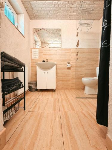 a bathroom with a sink and a toilet at Pensiunea Johanna in Arad