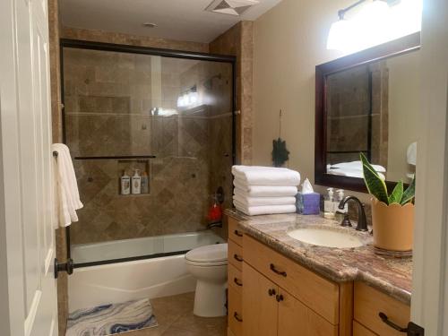 a bathroom with a shower and a sink and a toilet at Spacious 3 bedrooms 1 bath Jacuzzi BBQ SINGLE HOUSE in Agoura Hills