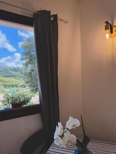 Agriturismo Sa Tanca Noa