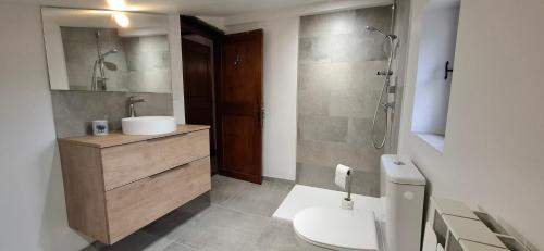 a bathroom with a sink and a toilet and a shower at Maison Provençale avec piscine in Estoublon