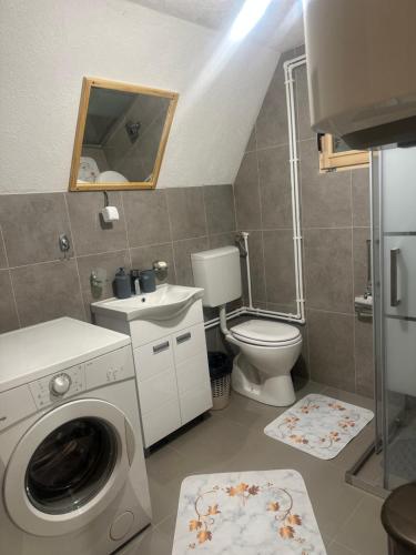 a bathroom with a washing machine and a toilet at Apartman Boro in Žabljak