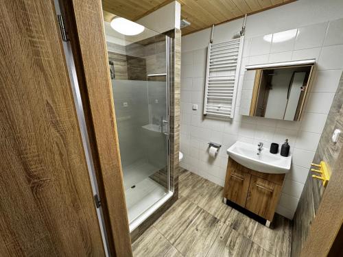 a bathroom with a shower and a sink at Apartmány Moravský Kras Vavřinec in Vavřinec